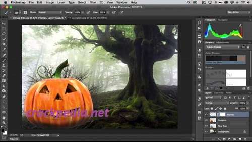 Adobe Photoshop CC 25.4 Crack + Serial Key Free Download 2024