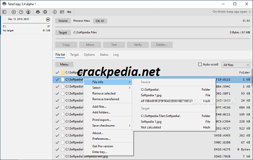 TeraCopy Pro 3.21 Crack + License Key Free Download 2024