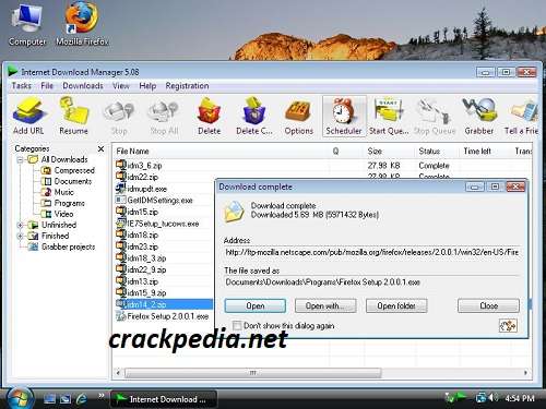IDM Crack 6.42 Build 3 Patch + Serial Key Free Download (2024)