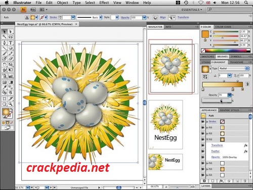 Adobe Illustrator CC 27.9.0 Crack + Serial Key Free Download {2023}