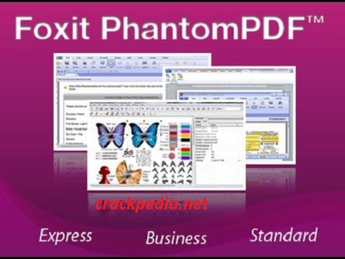 Foxit PhantomPDF Business 13.0.1.21693 Crack + Free Download 2024